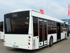 Автобус 203069
