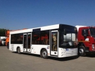автобус 206063