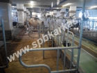 Стойловое оборудование для содержания животных: коров, быков, тёлок, телят 